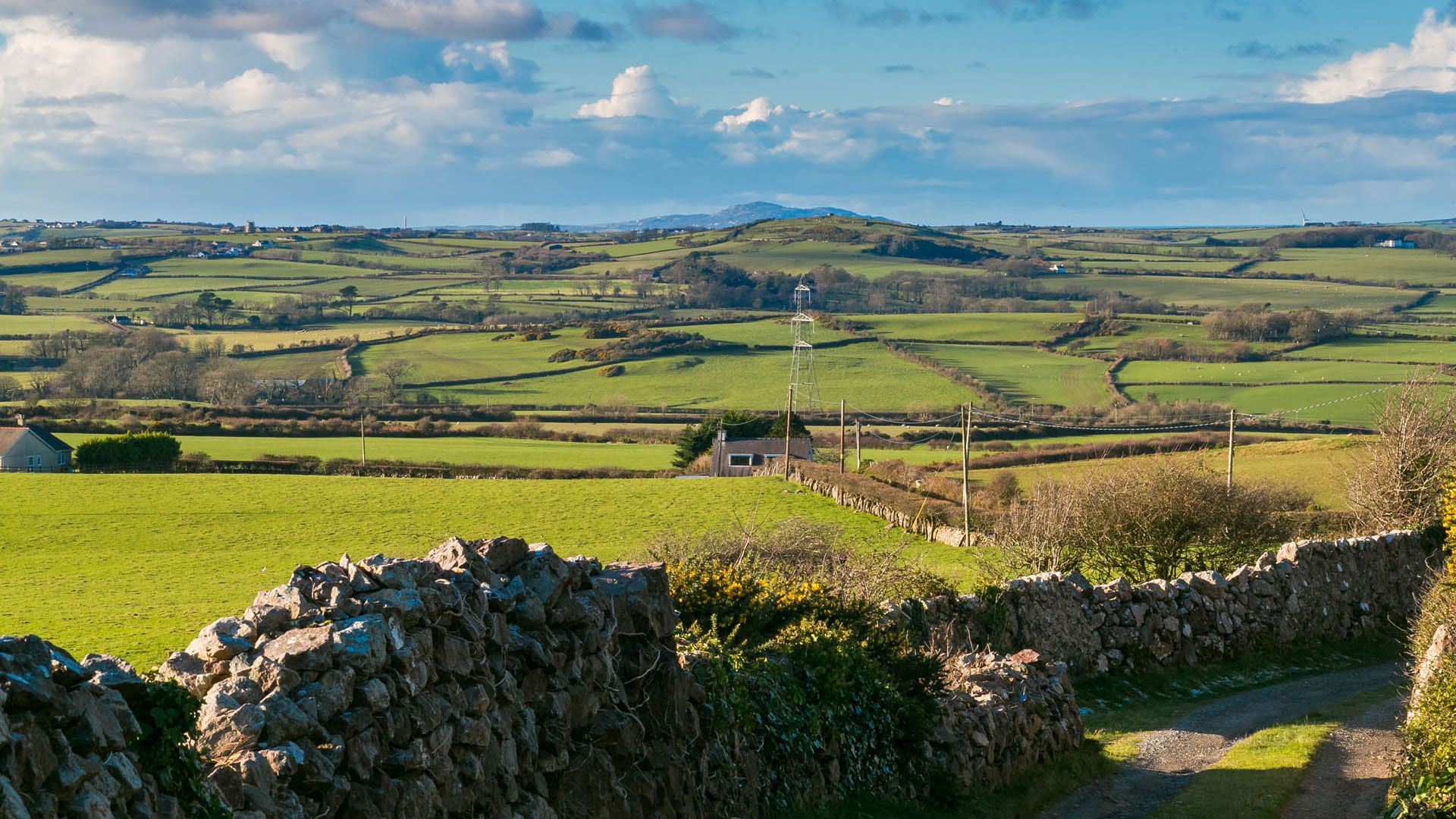 Views toward Snowdonia from Bron Heulog